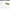 Green vintage rectangle sunglasses for women with polycarbonate frame and UV400 resin lenses