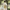 woman wearing white dress carrying casual summer shoulder beach bag woven straw large capacity outdoors