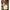 Mom and I medium shopper tote bag with black handles and artsy double-sided print carried by woman among colorful flowers